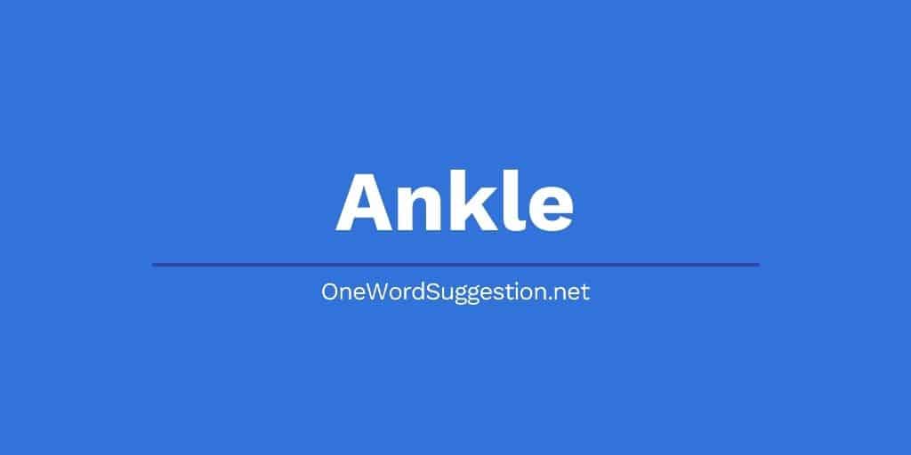 One Word Suggestion: Ankle 1 one word suggestion ankle