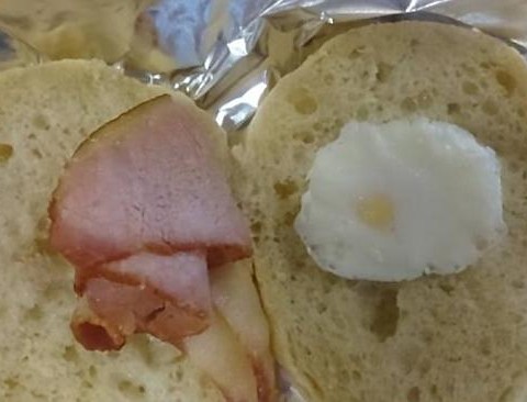Worst. Sandwich. Ever. Holy Cluck Burger Reviews