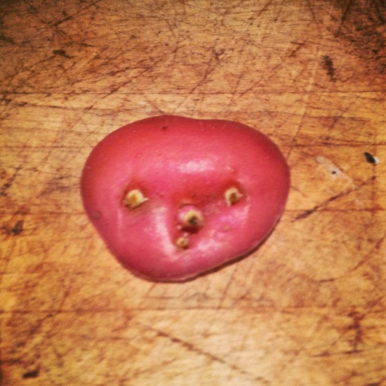 Pill Face - Pills with Personality™ by Eran Thomson