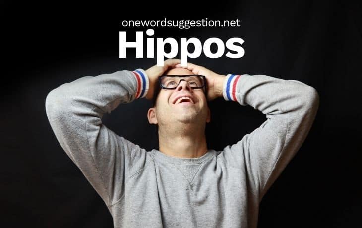 one word suggestion hippos